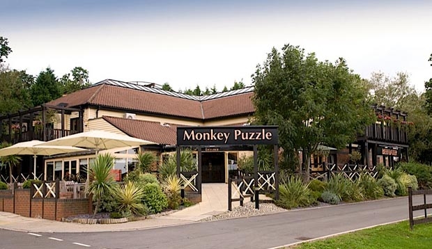 Exterior of Monkey Puzzle Table Table