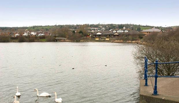 Surrounding countryside and lake at Premier Inn Llanelli Central West hotel