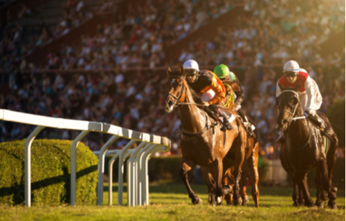 Bath Racecourse