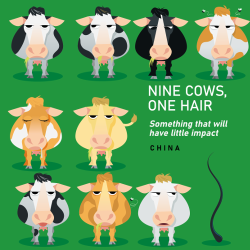 Nine cows, one hair