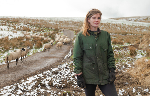 Amanda Owen, Yorkshire Shepherdess