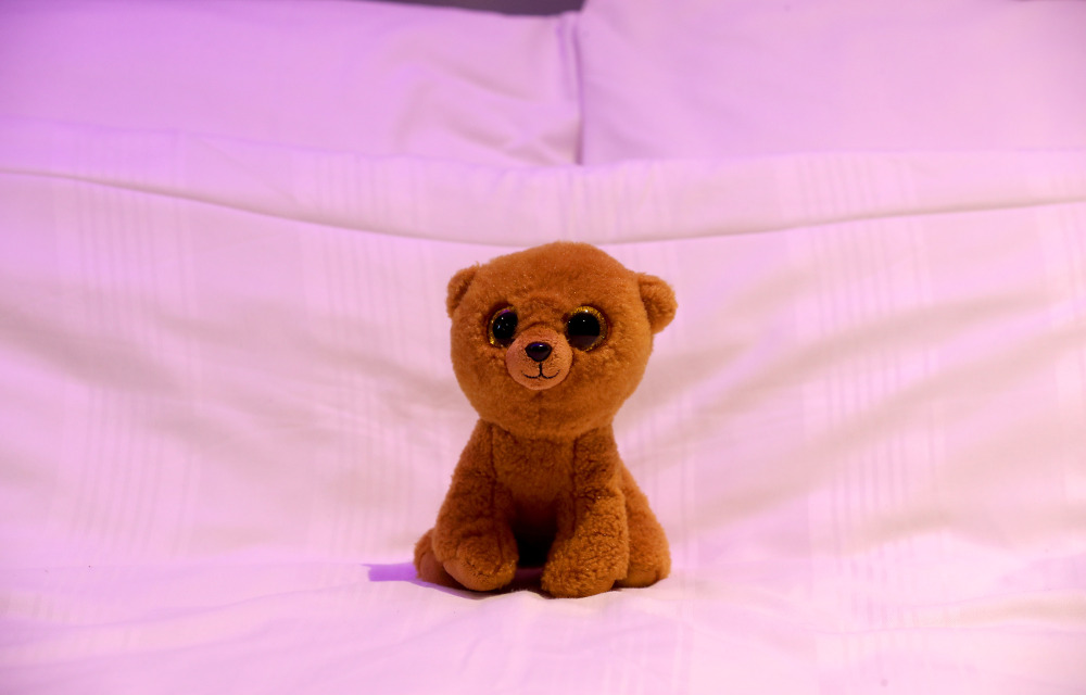 Teddy Bear