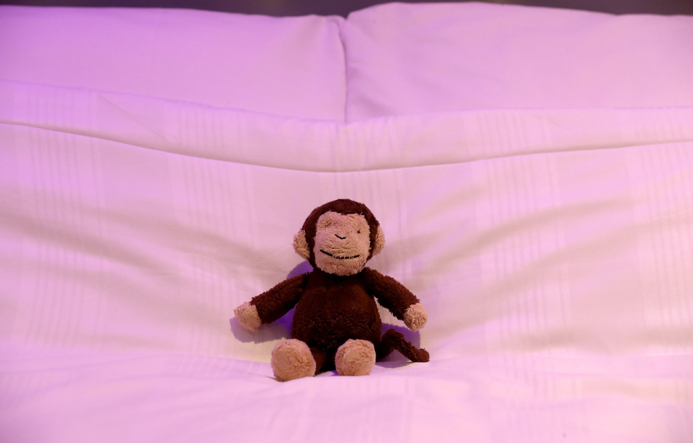 Monkey