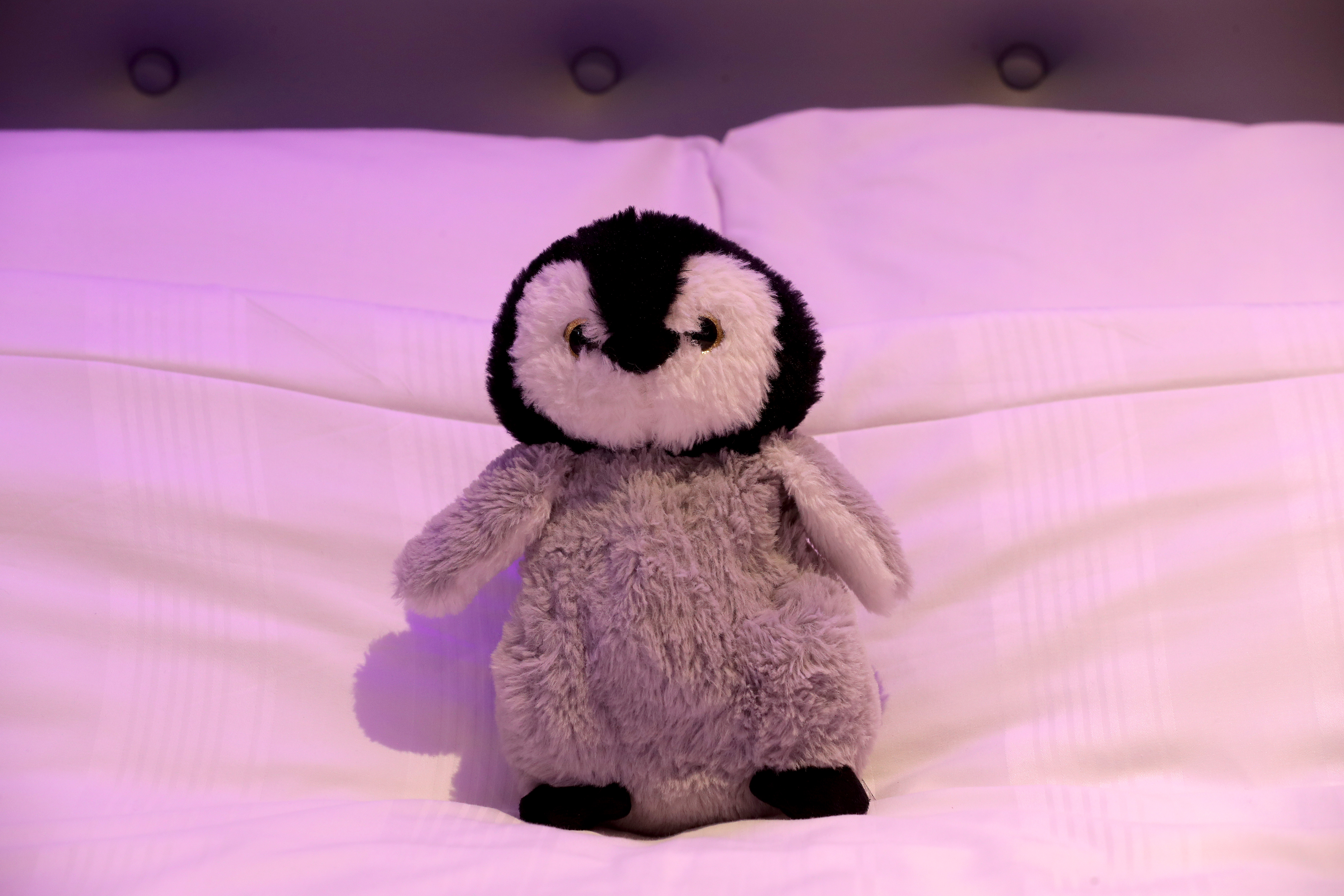 Penguin