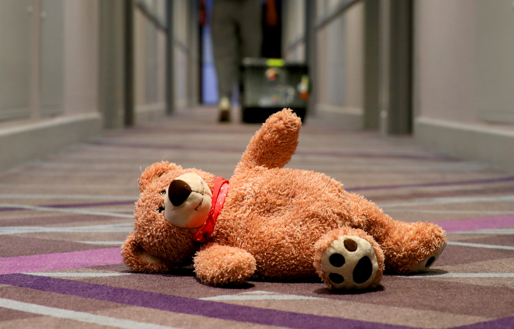 Teddy Bear Reunification Project
