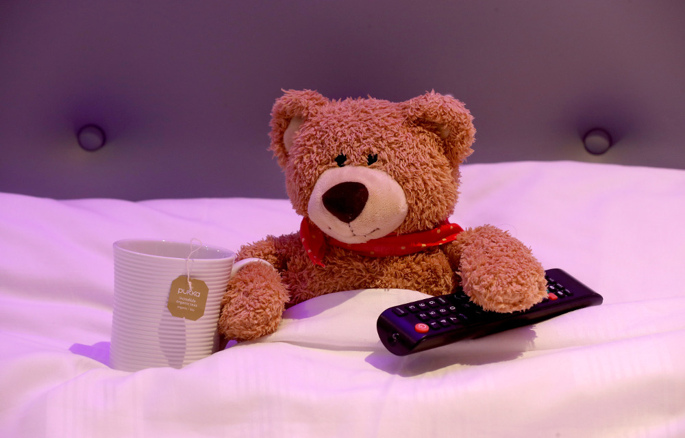 Teddy Bear Reunification Project