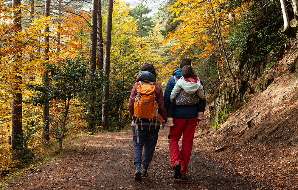 Gemeinsam den Herbstweg erwandern