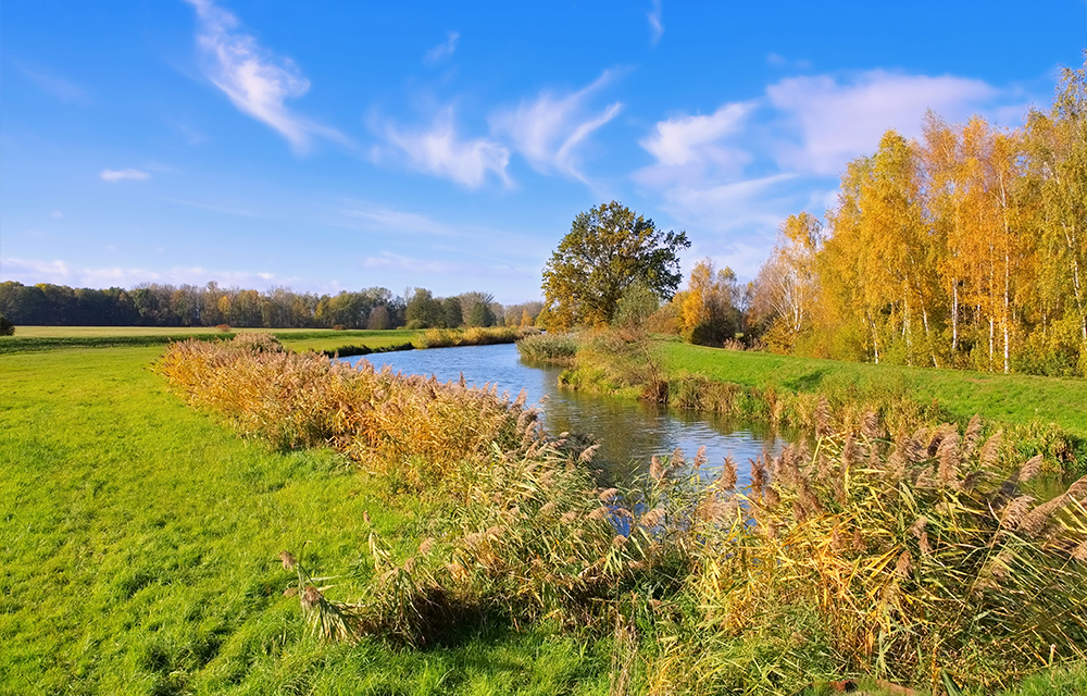 Natur pur im Spreewald