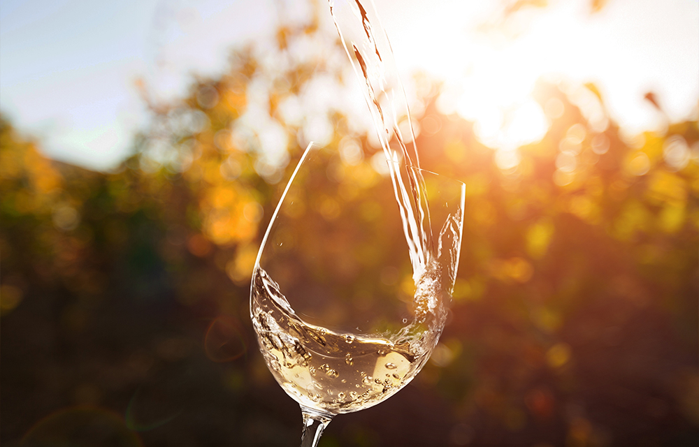 Weinprobe im Weinberg