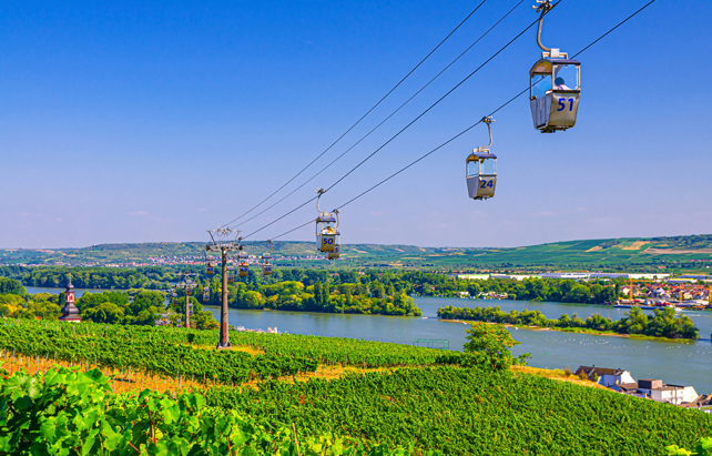 Seilbahnfahrt entlang der Weinberge