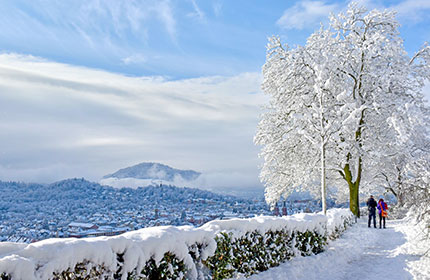 Freiburg im Winter