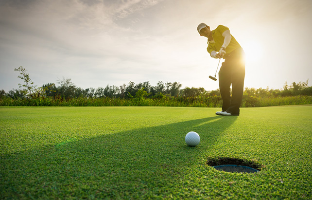 Golfer beim Einlochen auf grünem Gras