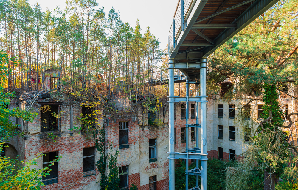 Geheimnisvolle Beelitzer Heilstätten & Baumkronenpfad