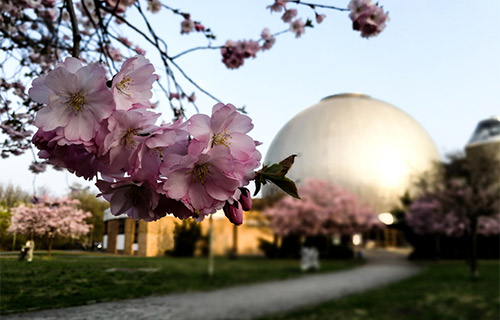 Planetarium