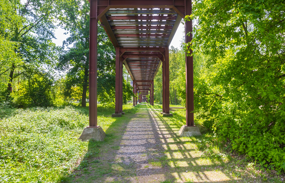 Unterschiedliche Welten entdecken