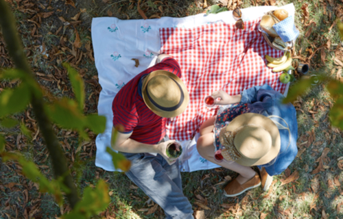 Picknick am Main