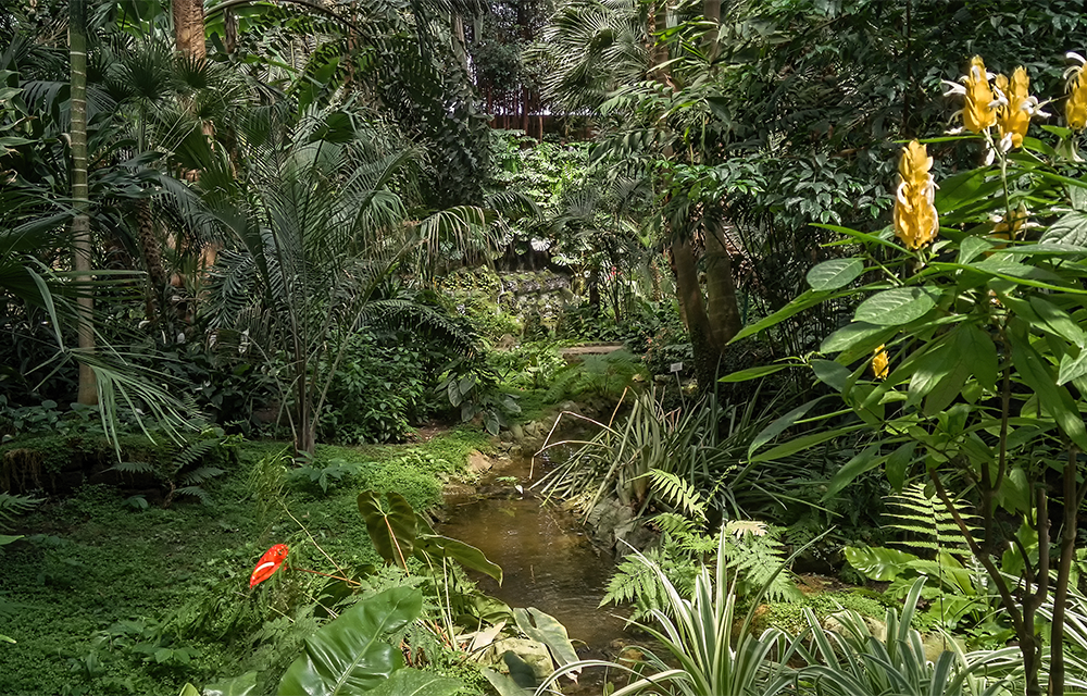 Willkommen im Dschungel