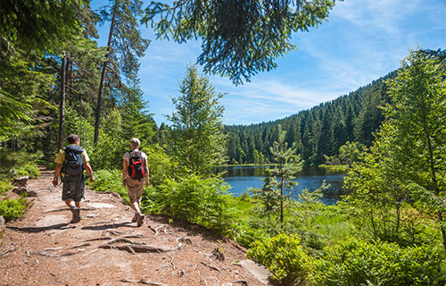 Wanderer auf dem Weg