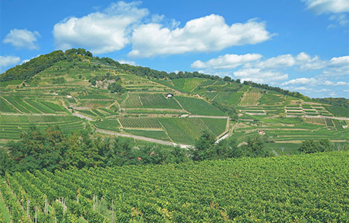Kaiserstuhl