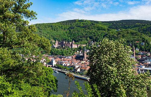 Wandern in und um Heidelberg