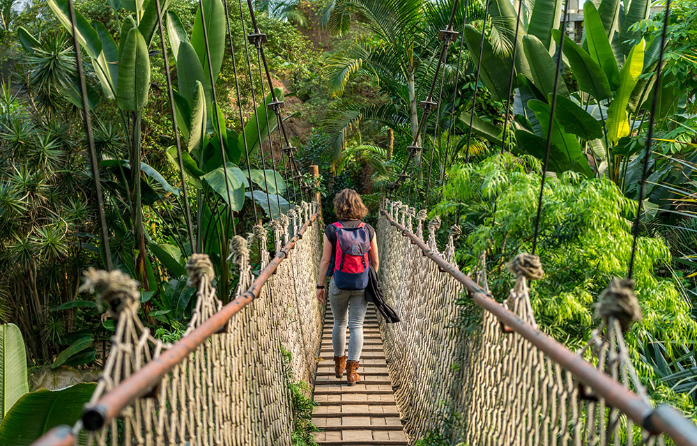 Hängebrücke im Gondwanaland