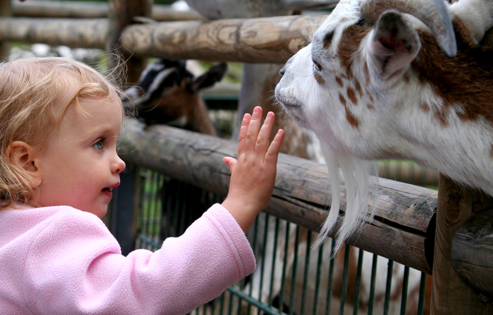 Erlebnis Tierpark