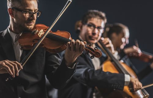 Musikalische Highlights