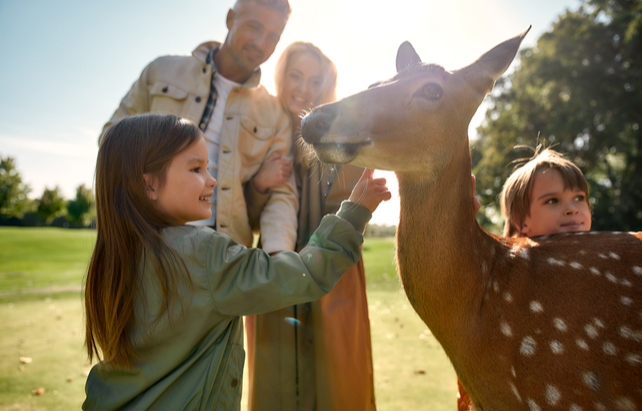 Tierparkbesuch
