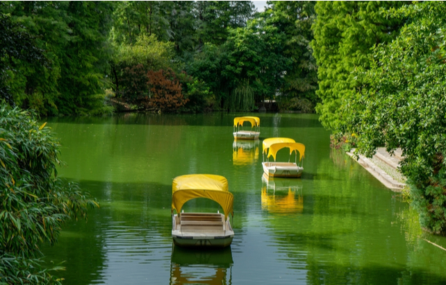 Gondelboote auf dem See im Luisenpark Mannheim
