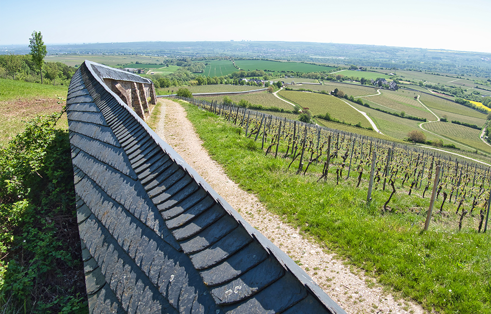 Blick in den Rheingau