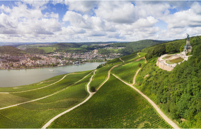 Rheingau Weinberge