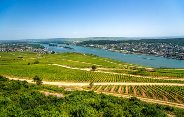 Rheingau Weinregion - Luftaufnahme