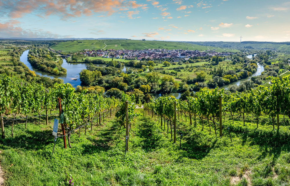 Mainschleife Volkach