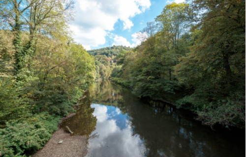 Wupper