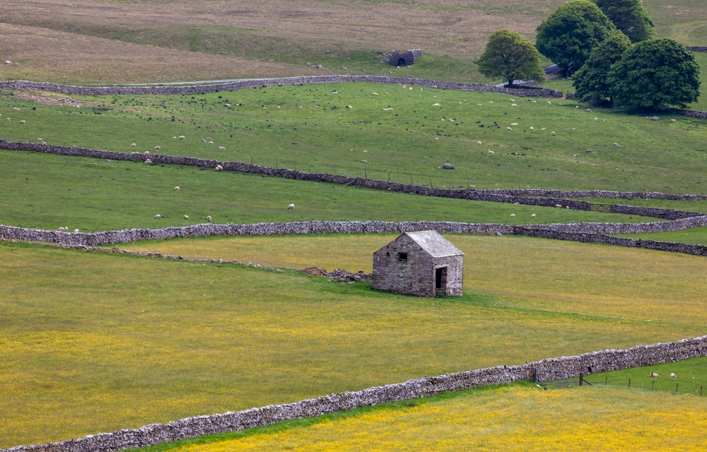 Hotels in Westmorland 
