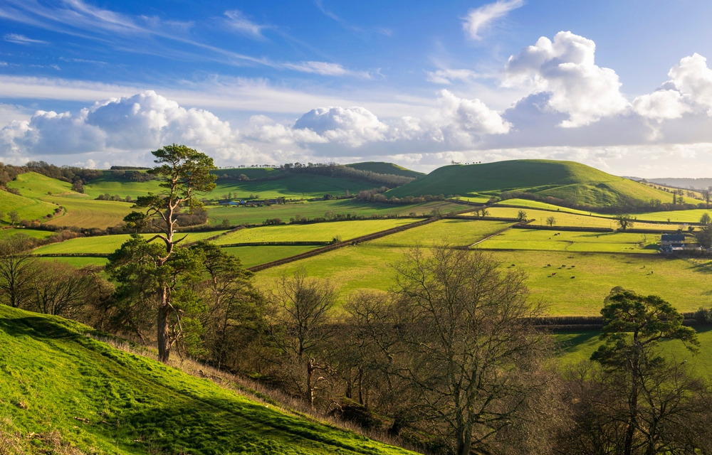 Rooms from £45 in Somerset