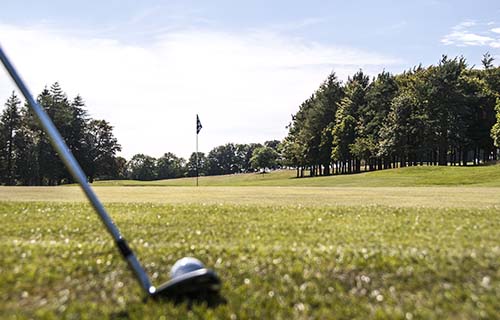 Ayr golf