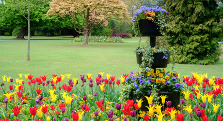 Cannon Hill park