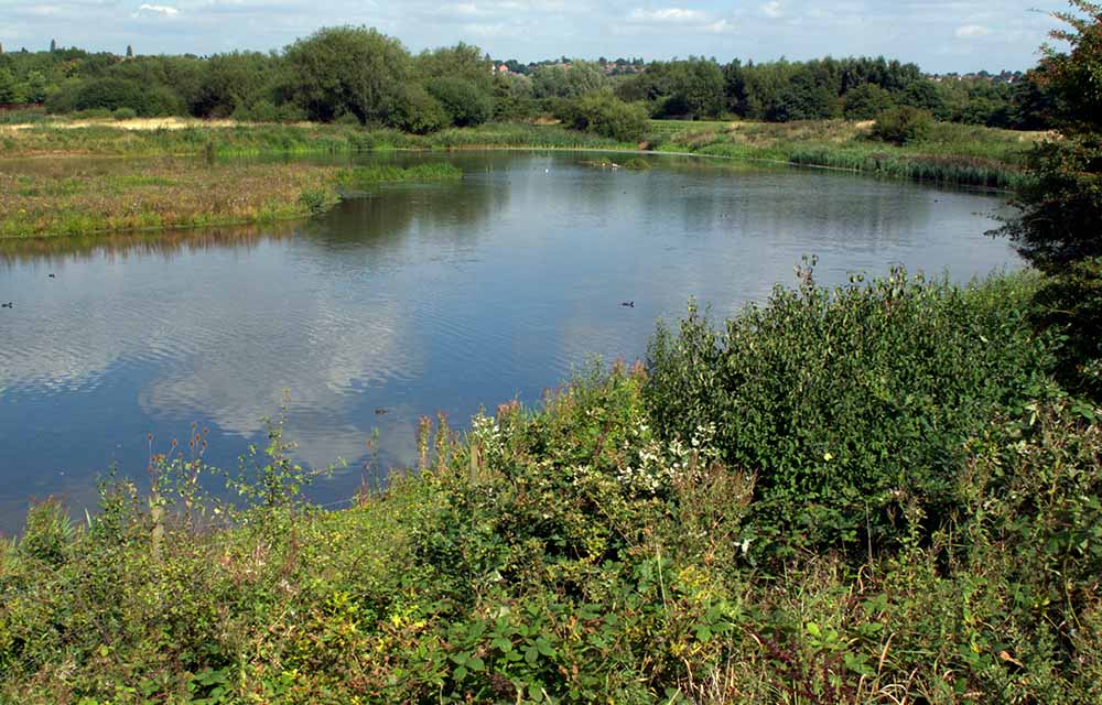 RSPB Sandwell Valley