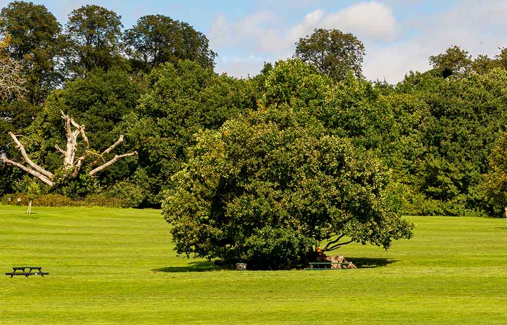 Shire Country Park