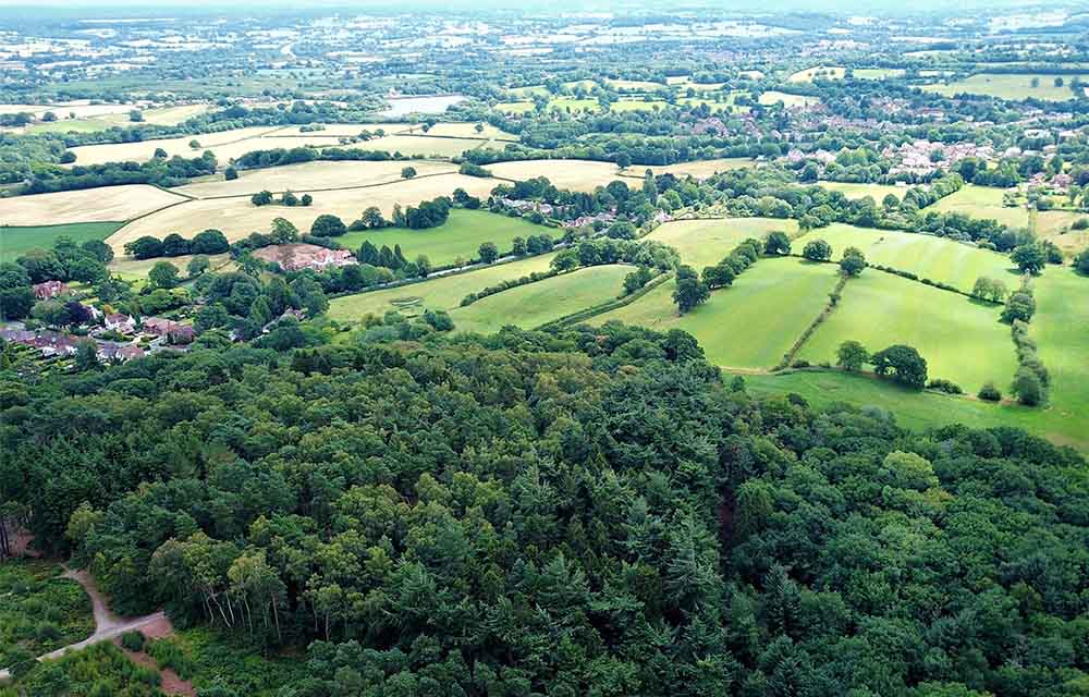 Lickey Hills Country Park
