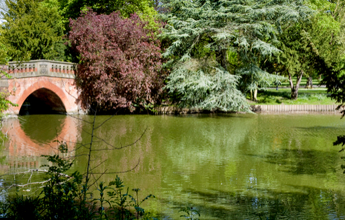 Cannon Hill Park