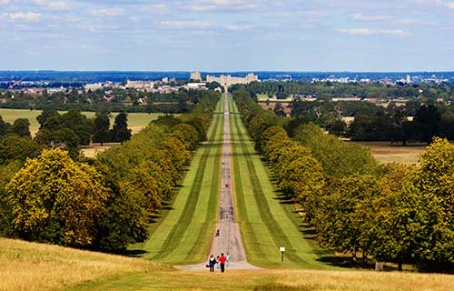 Windsor Great Park