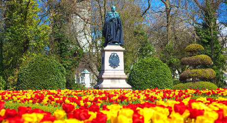 Bute Park flowers