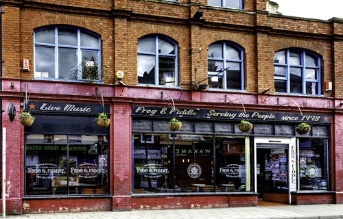 The Frog & Fiddle
