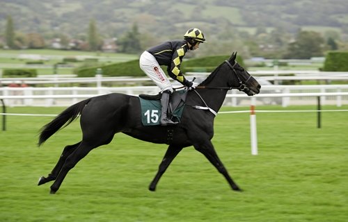 Cheltenham-festival