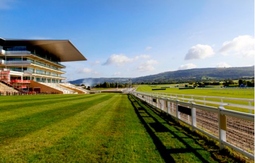 Cheltenham Festival