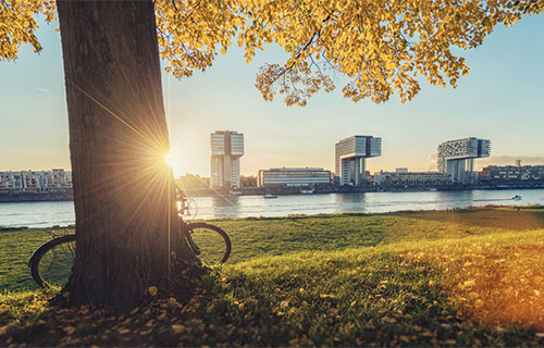 The banks of the Rhine