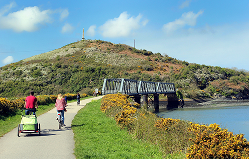 Camel Trail