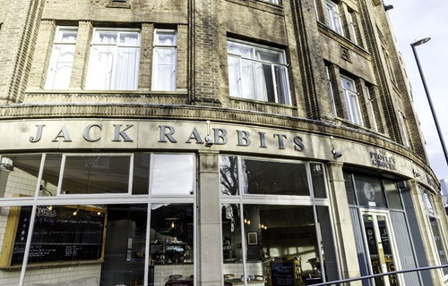 Jack Rabbits
